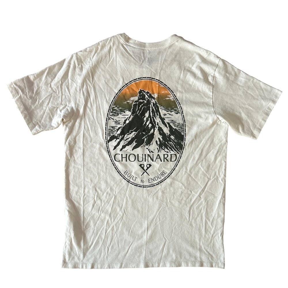 Patagonia Graphic Tee Men’s Small ☀️